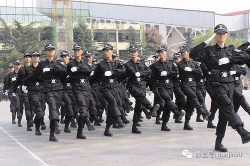冬至過后數(shù)九寒天開啟 津城氣溫與保安服務(wù)消解讀